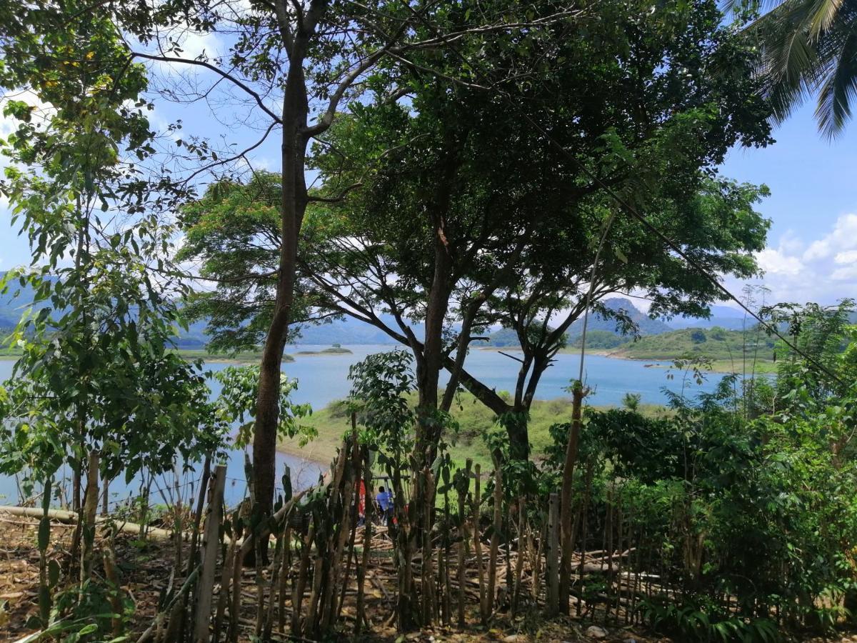 Victoria Views Resort Kandy Digana Bagian luar foto